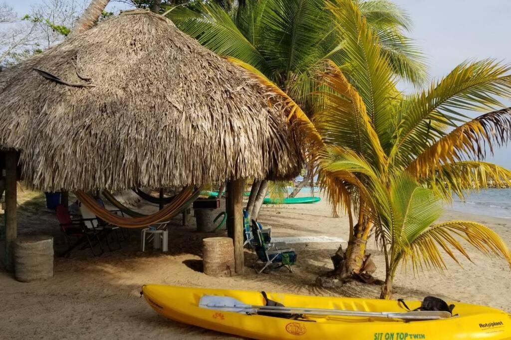 Casita Caribe En Reserva Natural, Playa Privada, Kayaks, Wifi, Aire Acondicionado San Onofre エクステリア 写真