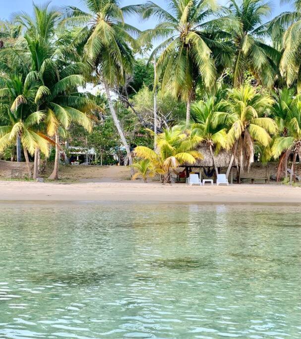 Casita Caribe En Reserva Natural, Playa Privada, Kayaks, Wifi, Aire Acondicionado San Onofre エクステリア 写真