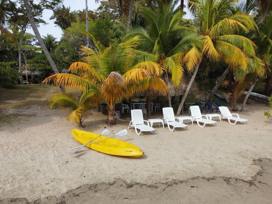 Casita Caribe En Reserva Natural, Playa Privada, Kayaks, Wifi, Aire Acondicionado San Onofre エクステリア 写真