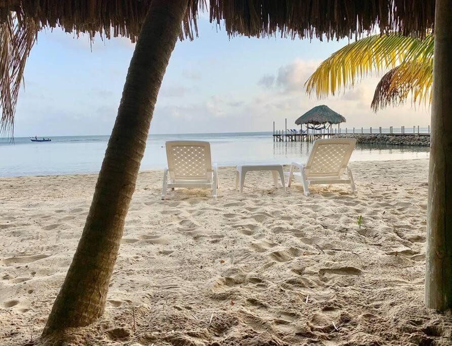 Casita Caribe En Reserva Natural, Playa Privada, Kayaks, Wifi, Aire Acondicionado San Onofre エクステリア 写真