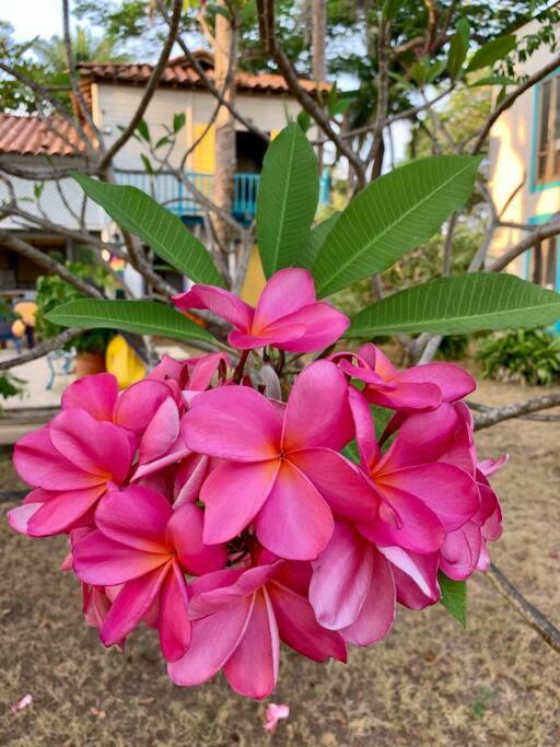 Casita Caribe En Reserva Natural, Playa Privada, Kayaks, Wifi, Aire Acondicionado San Onofre エクステリア 写真