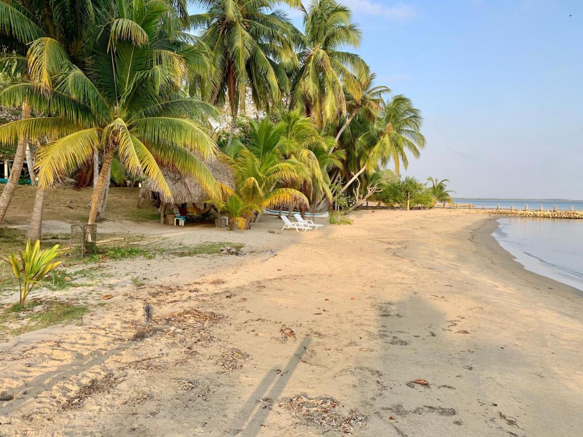 Casita Caribe En Reserva Natural, Playa Privada, Kayaks, Wifi, Aire Acondicionado San Onofre エクステリア 写真