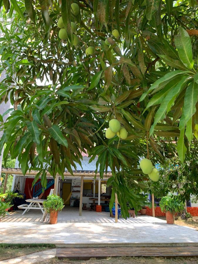 Casita Caribe En Reserva Natural, Playa Privada, Kayaks, Wifi, Aire Acondicionado San Onofre エクステリア 写真